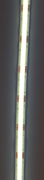 z1.png