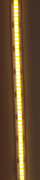 c1.png
